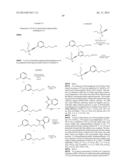 ALKYNYL PHENYL DERIVATIVE COMPOUNDS FOR TREATING OPHTHALMIC DISEASES AND     DISORDERS diagram and image