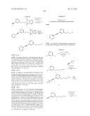 ALKYNYL PHENYL DERIVATIVE COMPOUNDS FOR TREATING OPHTHALMIC DISEASES AND     DISORDERS diagram and image