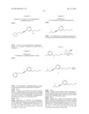 ALKYNYL PHENYL DERIVATIVE COMPOUNDS FOR TREATING OPHTHALMIC DISEASES AND     DISORDERS diagram and image