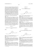 ALKYNYL PHENYL DERIVATIVE COMPOUNDS FOR TREATING OPHTHALMIC DISEASES AND     DISORDERS diagram and image