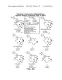 SYNTHESIS OF EPOTHILONES, INTERMEDIATES THERETO AND ANALOGUES THEREOF diagram and image