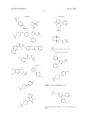 HISTONE DEACETYLASE INHIBITORS diagram and image