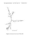 MOLECULAR TARGETS FOR HEALING OR TREATING WOUNDS diagram and image