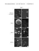 Long-acting nanoencapsulated arthropod repellent formulations and methods     of use thereof diagram and image