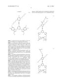 LUMINESCENT PROBES FOR BIOLOGICAL LABELING AND IMAGING, AND PROCESS FOR     PREPARING THE SAME diagram and image