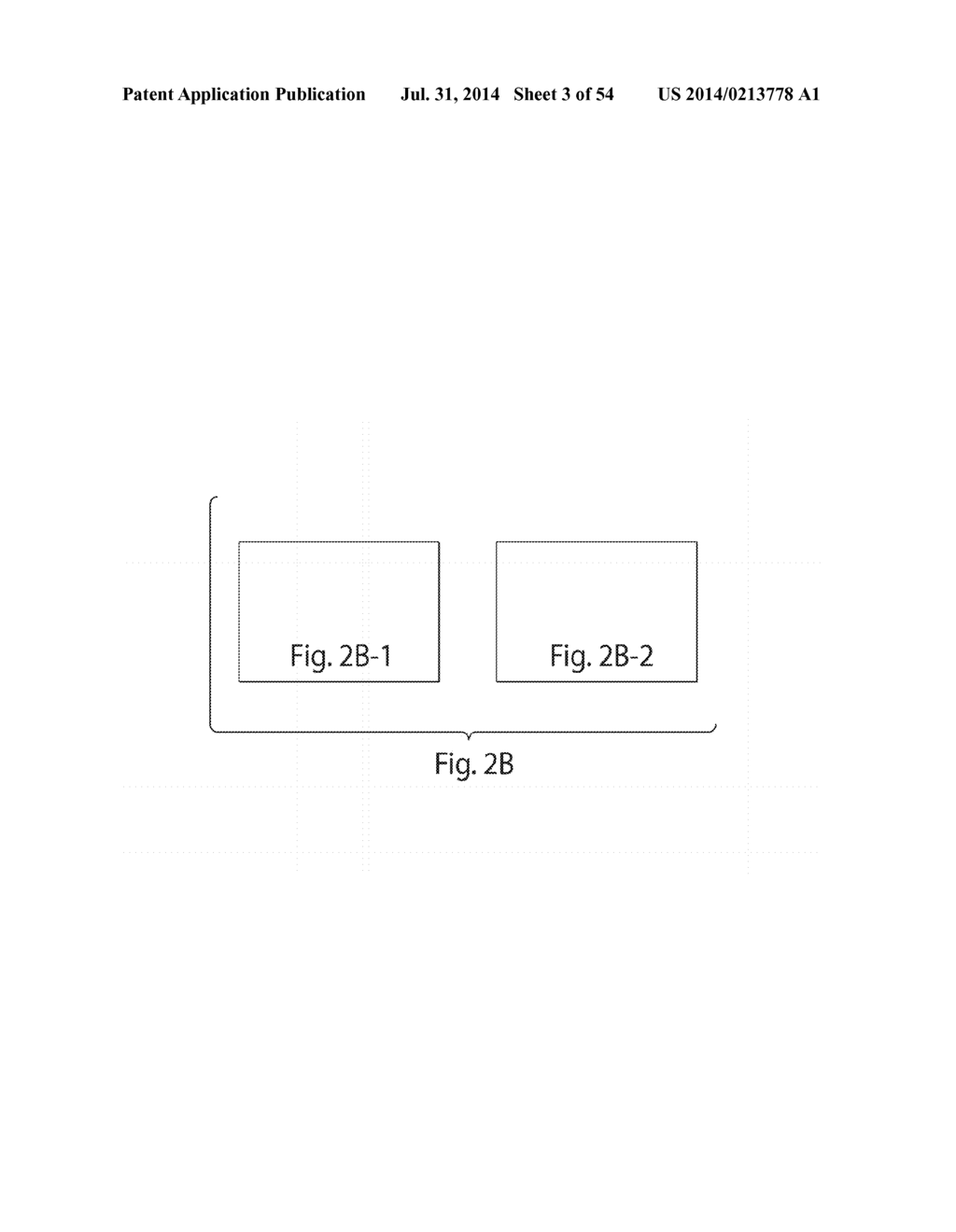 COMPOSITIONS AND METHODS RELATING TO NUCLEIC ACID NANO- AND     MICRO-TECHNOLOGY - diagram, schematic, and image 04