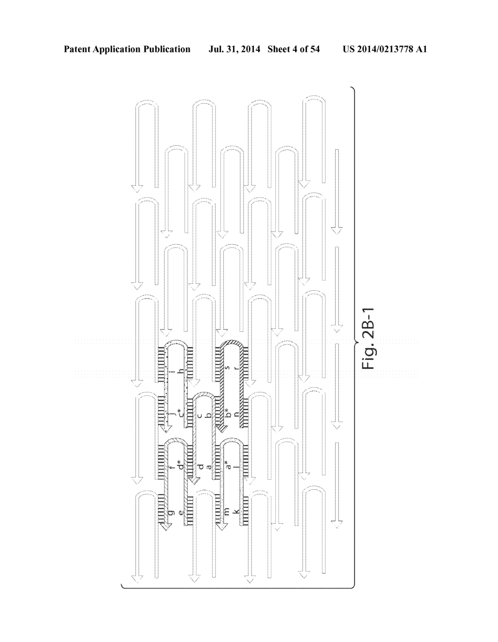 COMPOSITIONS AND METHODS RELATING TO NUCLEIC ACID NANO- AND     MICRO-TECHNOLOGY - diagram, schematic, and image 05