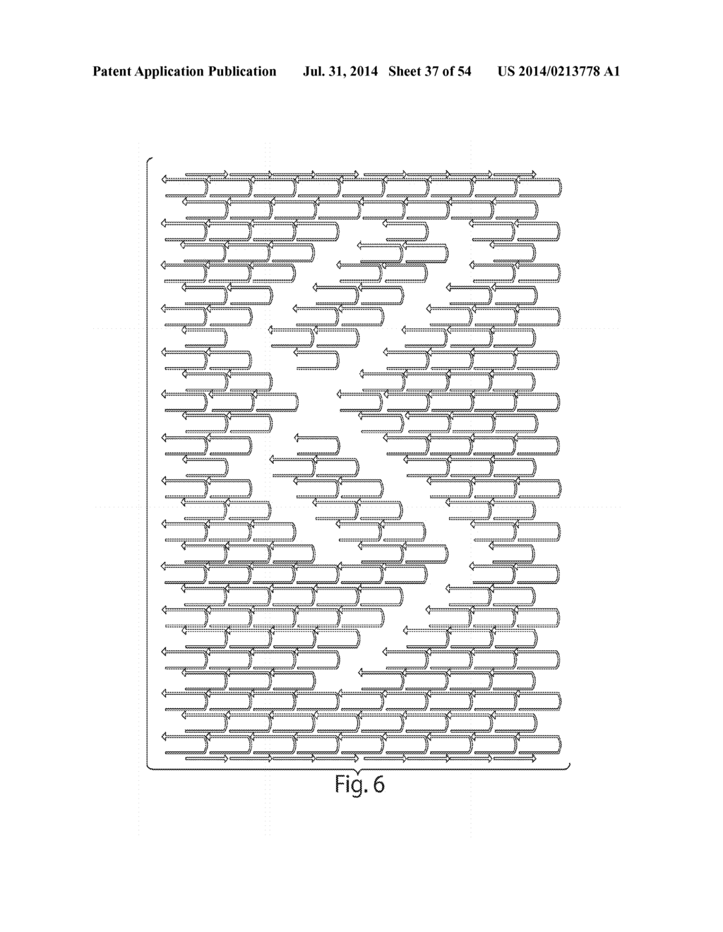 COMPOSITIONS AND METHODS RELATING TO NUCLEIC ACID NANO- AND     MICRO-TECHNOLOGY - diagram, schematic, and image 38