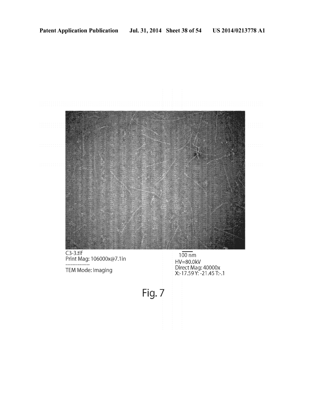 COMPOSITIONS AND METHODS RELATING TO NUCLEIC ACID NANO- AND     MICRO-TECHNOLOGY - diagram, schematic, and image 39