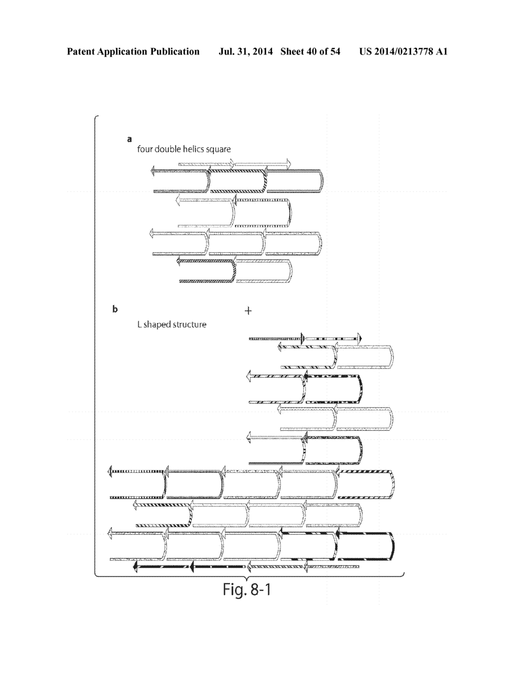 COMPOSITIONS AND METHODS RELATING TO NUCLEIC ACID NANO- AND     MICRO-TECHNOLOGY - diagram, schematic, and image 41