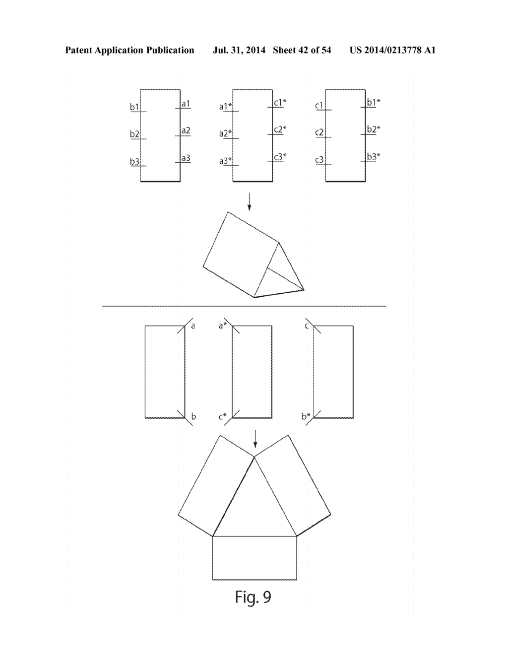 COMPOSITIONS AND METHODS RELATING TO NUCLEIC ACID NANO- AND     MICRO-TECHNOLOGY - diagram, schematic, and image 43