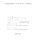 APPARATUS AND METHOD FOR ELECTROMAGNETIC TREATMENT OF NEUROLOGICAL PAIN diagram and image