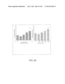 APPARATUS AND METHOD FOR ELECTROMAGNETIC TREATMENT OF NEUROLOGICAL PAIN diagram and image