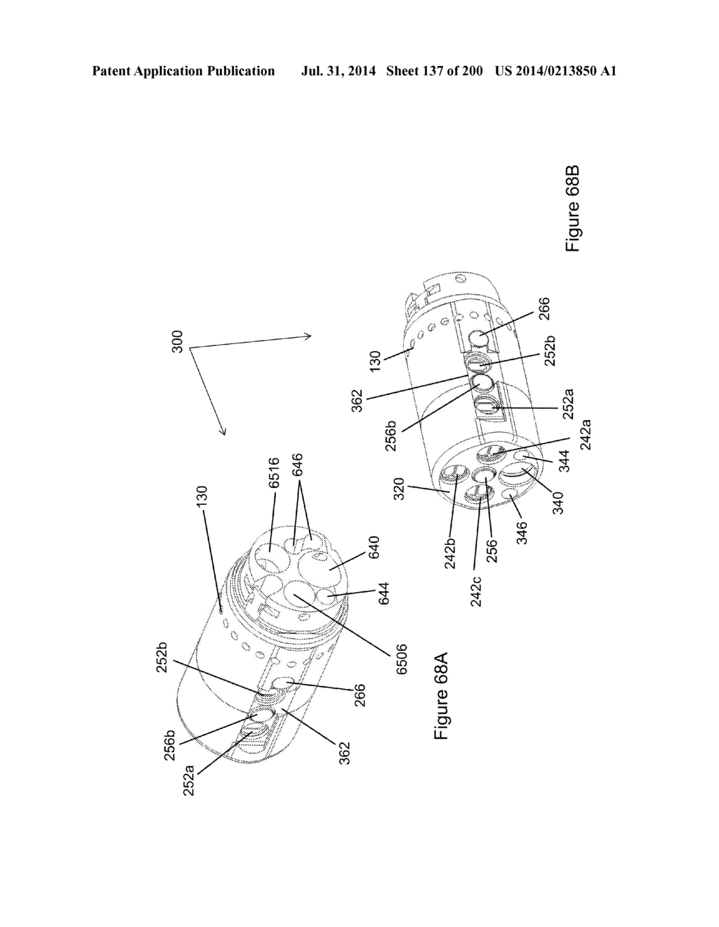 Compact Multi-Viewing Element Endoscope System - diagram, schematic, and image 139