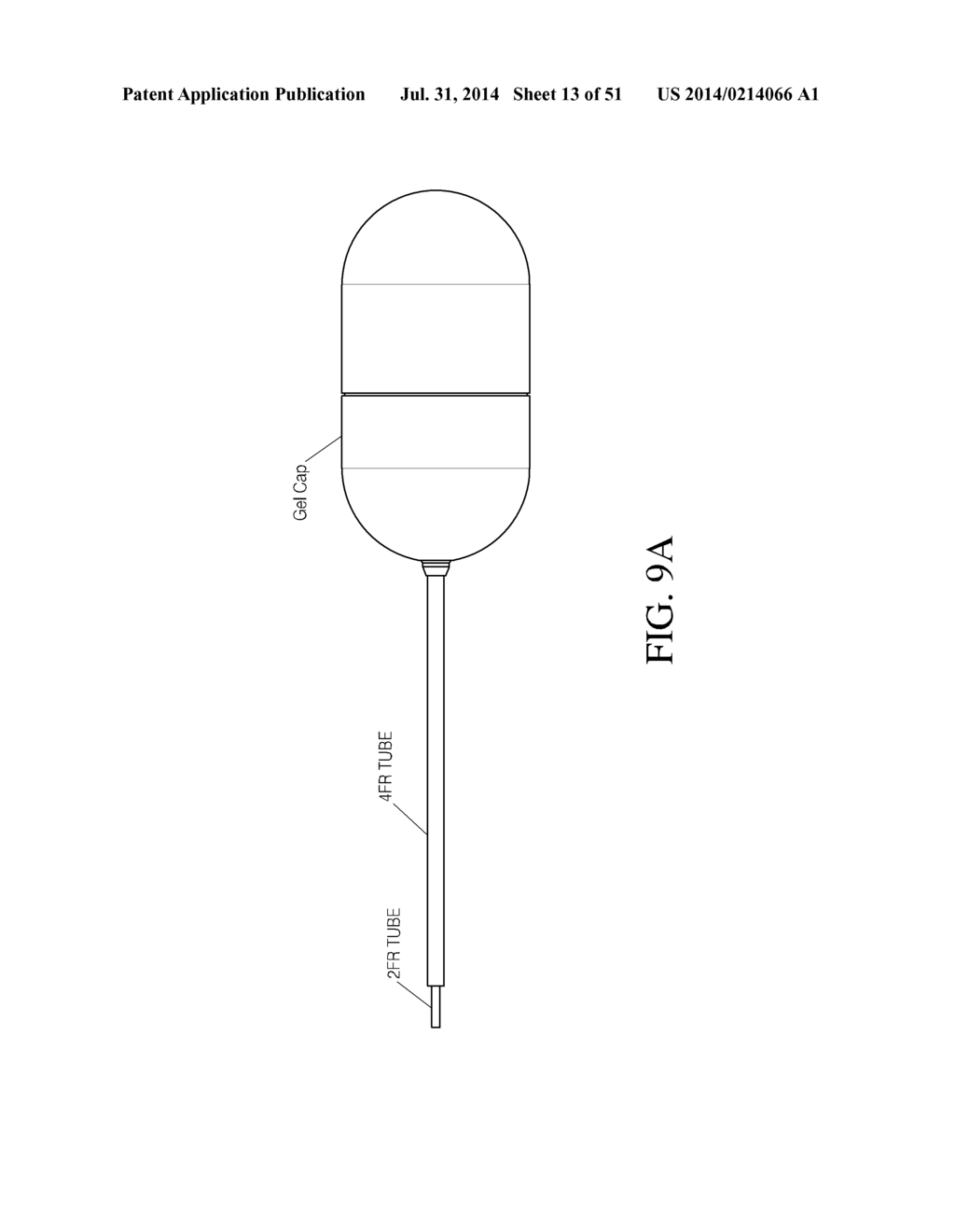 INTRAGASTRIC DEVICE - diagram, schematic, and image 14