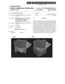 SALT BODY EXTRACTION diagram and image