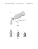 GLASS BOTTLE FOR CONTAINING LIQUID diagram and image
