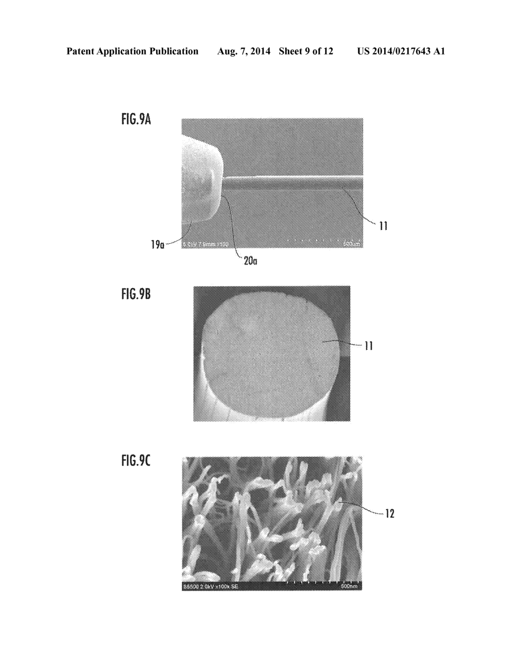 CARBON NANOTUBE FIBER AND METHOD FOR PRODUCING THE SAME - diagram, schematic, and image 10