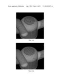 Zebra Lights diagram and image