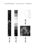 SYSTEM AND METHOD FOR MULTIPLEX SPECTROSCOPIC IMAGING diagram and image