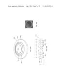 PLASMONIC INTERFEROMETER BIOSENSORS diagram and image