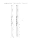 METHOD AND APPARATUS FOR DETECTING INCONSISTENT CONTROL INFORMATION IN     WIRELESS COMMUNICATION SYSTEMS diagram and image