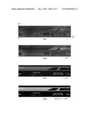 METHOD FOR DETERMINING MARKINGS IN RELIEF ON THE OUTER SURFACE OF THE     SIDEWALL OF A TYRE diagram and image