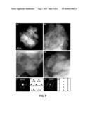 MECHANOCHEMICAL SYNTHESIS OF HEXAGONAL OsB2 diagram and image