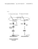 METHODS AND COMPOSITIONS FOR THE TREATMENT OF IMMUNE DISORDERS diagram and image