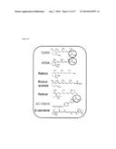 METHODS AND COMPOSITIONS FOR THE TREATMENT OF IMMUNE DISORDERS diagram and image