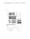 METHODS AND COMPOSITIONS FOR THE TREATMENT OF IMMUNE DISORDERS diagram and image