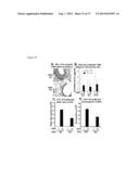 METHODS AND COMPOSITIONS FOR THE TREATMENT OF IMMUNE DISORDERS diagram and image