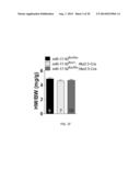 METHODS FOR INDUCING CARDIOMYOCYTE PROLIFERATION diagram and image