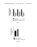 METHODS FOR INDUCING CARDIOMYOCYTE PROLIFERATION diagram and image