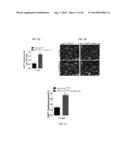 METHODS FOR INDUCING CARDIOMYOCYTE PROLIFERATION diagram and image