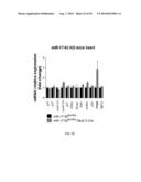 METHODS FOR INDUCING CARDIOMYOCYTE PROLIFERATION diagram and image