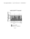 METHODS FOR INDUCING CARDIOMYOCYTE PROLIFERATION diagram and image