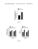 METHODS FOR INDUCING CARDIOMYOCYTE PROLIFERATION diagram and image