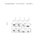 LEVELS OF BCMA PROTEIN EXPRESSION ON B CELLS AND USE IN DIAGNOSTIC METHODS diagram and image