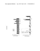 LEVELS OF BCMA PROTEIN EXPRESSION ON B CELLS AND USE IN DIAGNOSTIC METHODS diagram and image