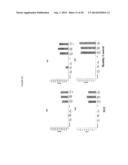 LEVELS OF BCMA PROTEIN EXPRESSION ON B CELLS AND USE IN DIAGNOSTIC METHODS diagram and image