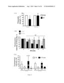 BIOMARKERS FOR EPITHELIAL CANCER DIAGNOSIS AND TREATMENT diagram and image