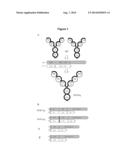 DUAL VARIABLE DOMAIN IMMUNOGLOBULINS AND USES THEREOF diagram and image