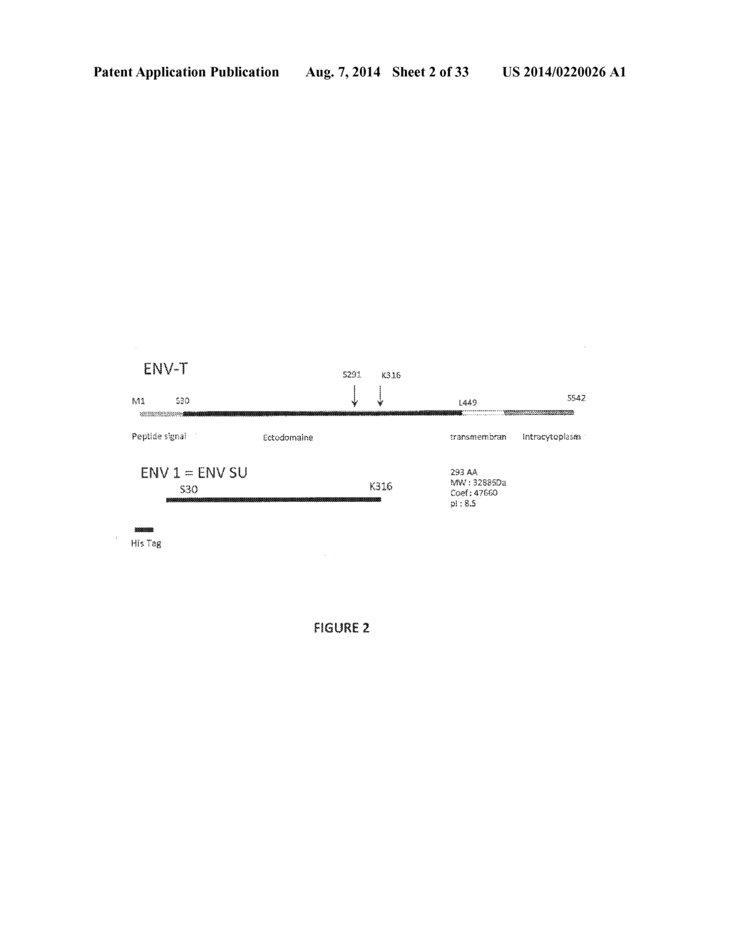 THERAPEUTIC USE OF SPECIFIC LIGAND IN MSRV ASSOCIATED DISEASES - diagram, schematic, and image 03