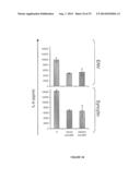 THERAPEUTIC USE OF SPECIFIC LIGAND IN MSRV ASSOCIATED DISEASES diagram and image