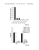 ANTIBODIES DIRECTED AGAINST SIGNAL PEPTIDES, METHODS AND USES THEREOF diagram and image