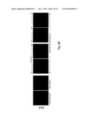 ANTIBODIES DIRECTED AGAINST SIGNAL PEPTIDES, METHODS AND USES THEREOF diagram and image