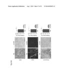 Administration of an Anti-Activin-A Compound to a Subject diagram and image