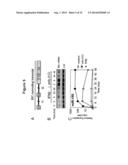 MICRORNA INHIBITION FOR THE TREATMENT OF INFLAMMATION AND     MYELOPROLIFERATIVE DISORDERS diagram and image