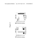 MICRORNA INHIBITION FOR THE TREATMENT OF INFLAMMATION AND     MYELOPROLIFERATIVE DISORDERS diagram and image